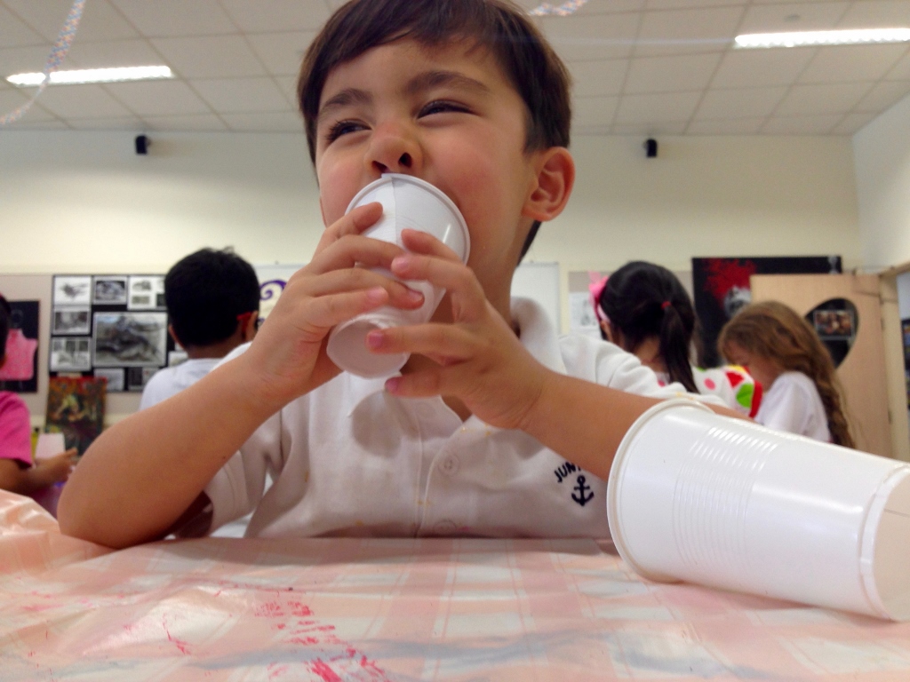 Village Camps International Summer Camp VDC Singapore 2017-07-28 https://www.villagecamps.com/journals_admin/images/1691-3058-IMG_2171 (1024x768).jpg